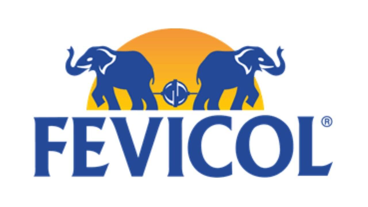 Fevicol