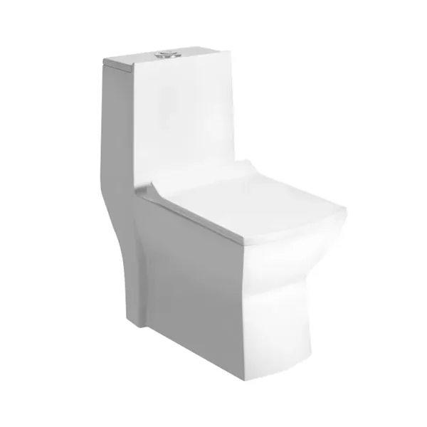 Essel EWC — Water Closets EARN