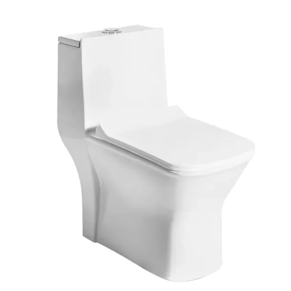 Essel EWC — Water Closets EAST
