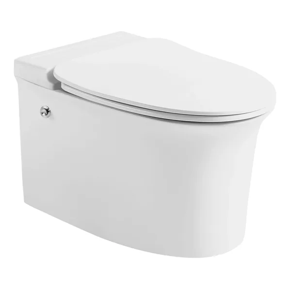Essel EWC — Water Closets ELCTO
