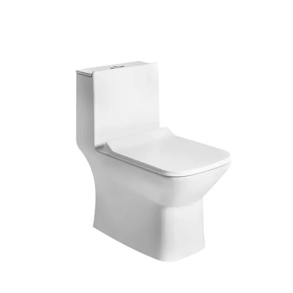 Essel EWC — Water Closets ENCO