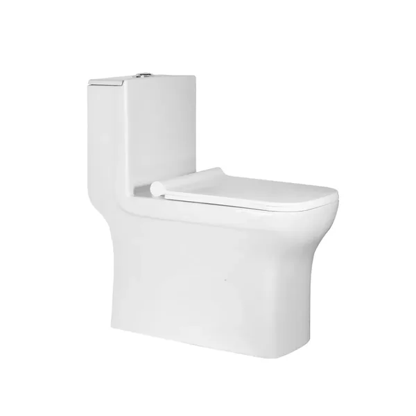 Essel EWC — Water Closets ETIC