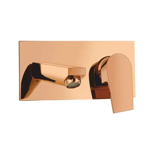 Essel PVD Finishes & Thermostatic Mixers Singleleverbasinmixerwallmountedexposedpartwithconcealedinstallation